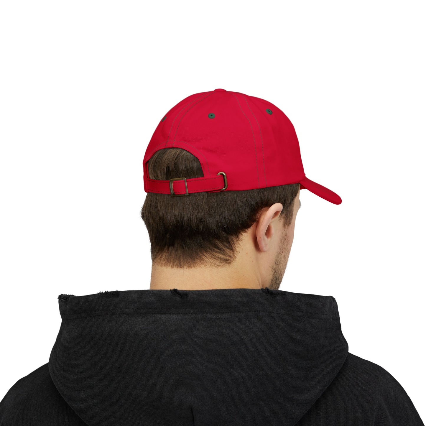 Disorderly Conduct Rage Rooms Classic Dad Cap